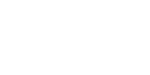 Logo Steinfeder